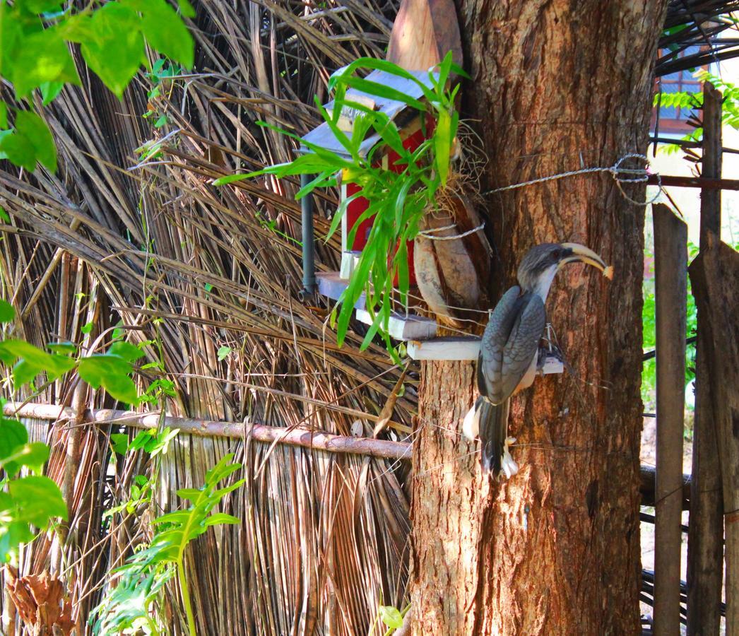 The Courtyard Villa Sigiriya Eksteriør billede